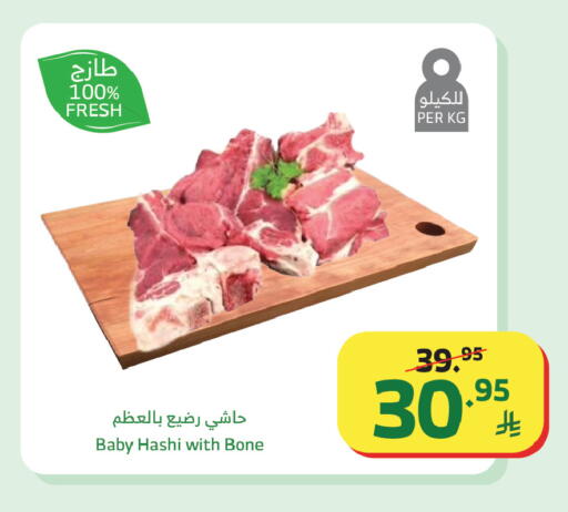 available at Al Raya in KSA, Saudi Arabia, Saudi - Tabuk