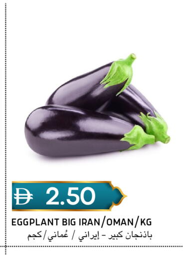 Eggplant from Iran Oman available at سيليكت ماركت in الإمارات العربية المتحدة , الامارات - أبو ظبي