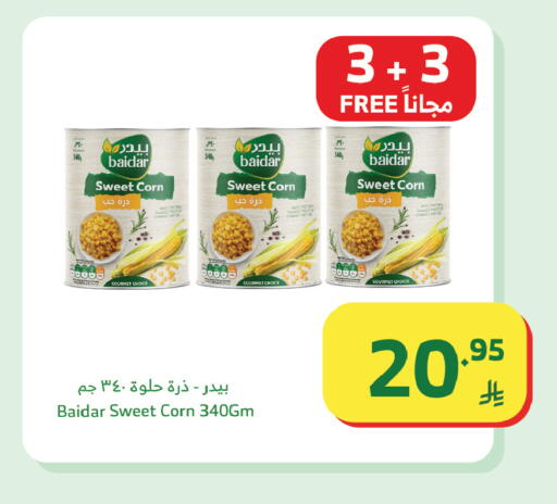 available at Al Raya in KSA, Saudi Arabia, Saudi - Tabuk