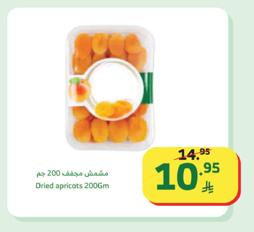 available at Al Raya in KSA, Saudi Arabia, Saudi - Tabuk