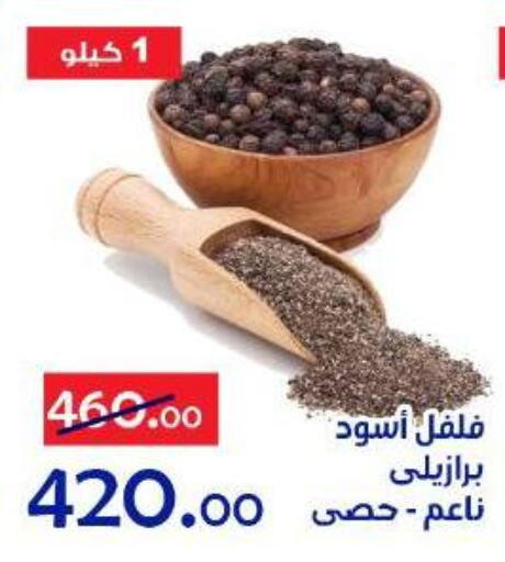 available at الدنيا بخير in Egypt - القاهرة