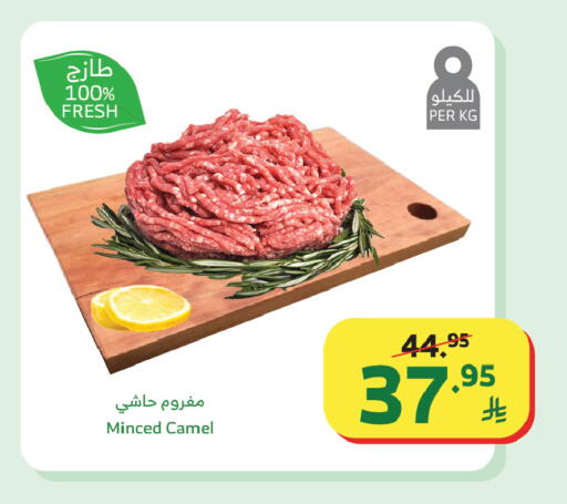 available at Al Raya in KSA, Saudi Arabia, Saudi - Tabuk