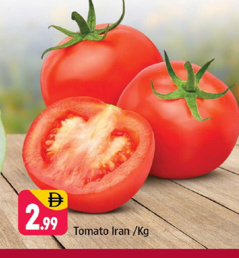 Tomato available at شكلان ماركت in الإمارات العربية المتحدة , الامارات - دبي
