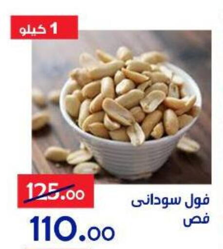 available at الدنيا بخير in Egypt - القاهرة