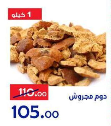 available at الدنيا بخير in Egypt - القاهرة