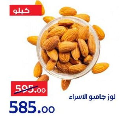 available at الدنيا بخير in Egypt - القاهرة