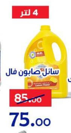 available at Aldoneia Bkheir ismailia  in Egypt - Cairo