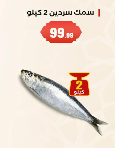 available at El Mahlawy Stores in Egypt - Cairo