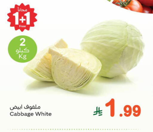 Cabbage available at أسواق عبد الله العثيم in مملكة العربية السعودية, السعودية, سعودية - تبوك