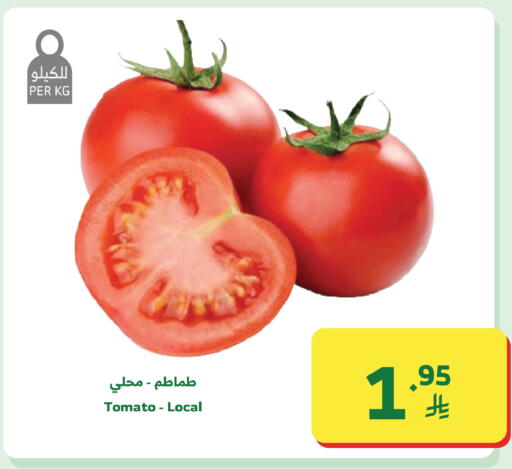 Tomato available at Al Raya in KSA, Saudi Arabia, Saudi - Tabuk