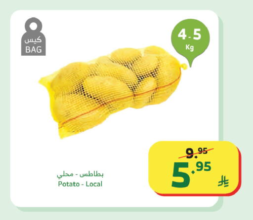 Potato available at Al Raya in KSA, Saudi Arabia, Saudi - Tabuk