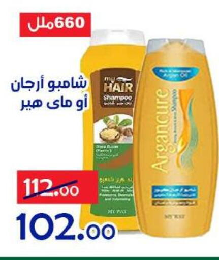 available at الدنيا بخير in Egypt - القاهرة