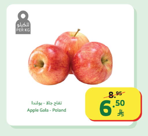 Apple from Poland available at Al Raya in KSA, Saudi Arabia, Saudi - Tabuk
