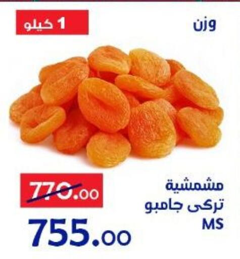 available at Aldoneia Bkheir ismailia  in Egypt - Cairo