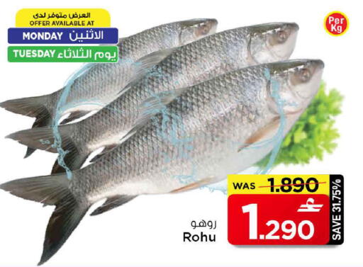 available at مارك & سايف in عُمان - مسقط‎