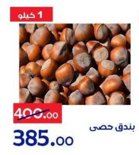 available at الدنيا بخير in Egypt - القاهرة