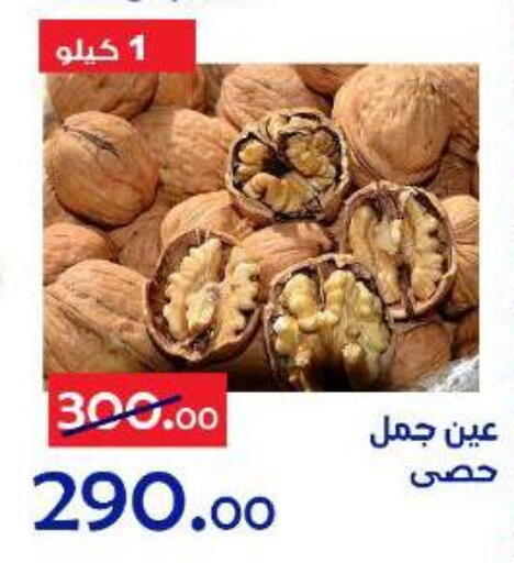 available at Aldoneia Bkheir ismailia  in Egypt - Cairo