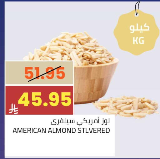 available at أسواق أسترا in مملكة العربية السعودية, السعودية, سعودية - تبوك