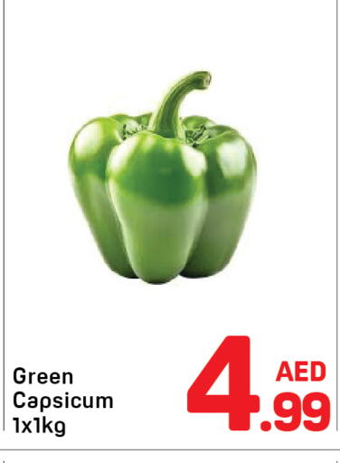 Green Capsicum available at Day to Day Department Store in UAE - Dubai
