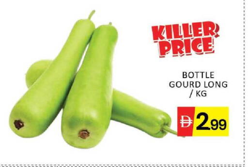 Mango available at Mango Hypermarket LLC in UAE - Dubai