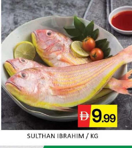 Mango available at Mango Hypermarket LLC in UAE - Dubai