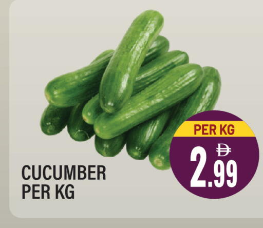 Cucumber available at Dream Land in UAE - Sharjah / Ajman