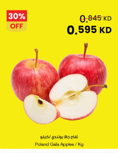 from Poland available at مركز سلطان in الكويت - محافظة الجهراء