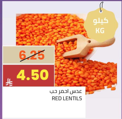 available at أسواق أسترا in مملكة العربية السعودية, السعودية, سعودية - تبوك