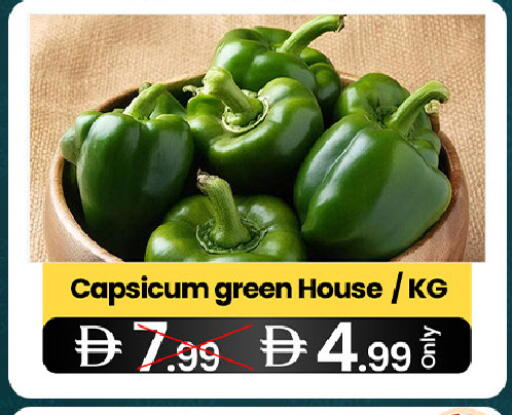 Capsicum available at سوبر ماركت سلة النخبة ذ.م.م. in الإمارات العربية المتحدة , الامارات - الشارقة / عجمان