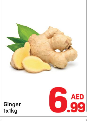 Ginger available at Day to Day Department Store in UAE - Dubai