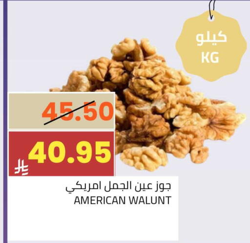 available at أسواق أسترا in مملكة العربية السعودية, السعودية, سعودية - تبوك