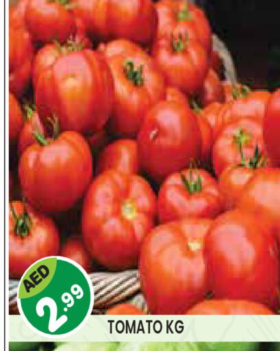 Tomato available at Baniyas Spike  in UAE - Abu Dhabi