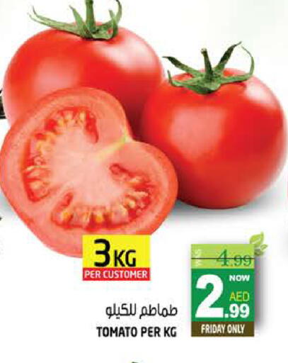 Tomato available at Hashim Hypermarket in UAE - Sharjah / Ajman