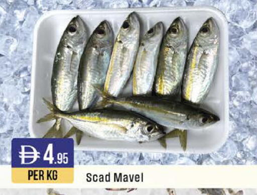 available at West Zone Supermarket in UAE - Sharjah / Ajman