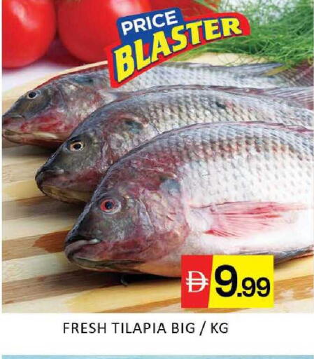 Mango available at Mango Hypermarket LLC in UAE - Dubai