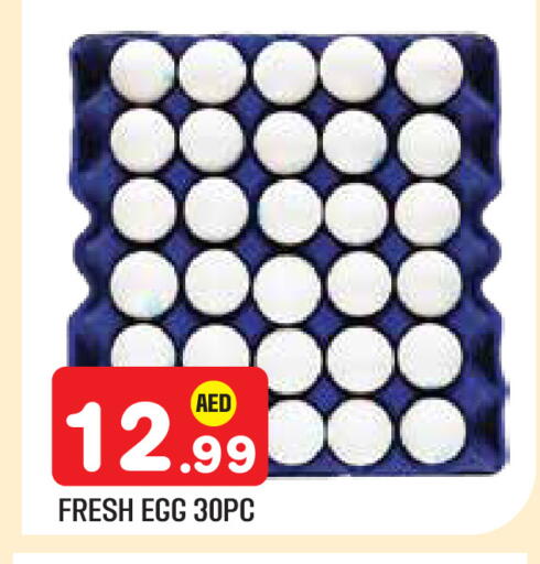 available at سنابل بني ياس in الإمارات العربية المتحدة , الامارات - ٱلْعَيْن‎