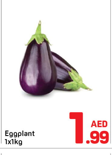 Eggplant available at Day to Day Department Store in UAE - Dubai