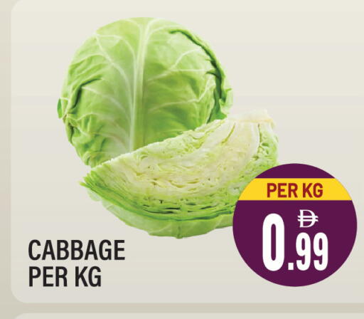 Cabbage available at Dream Land in UAE - Sharjah / Ajman