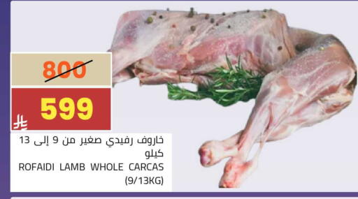 available at أسواق أسترا in مملكة العربية السعودية, السعودية, سعودية - تبوك