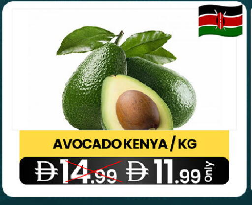 Avocado from Kenya available at  ELITE BASKET SUPERMARKET L.L.C. SP in UAE - Sharjah / Ajman