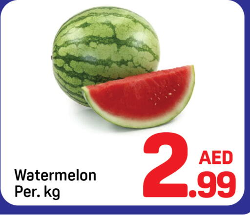 Watermelon available at Day to Day Department Store in UAE - Dubai