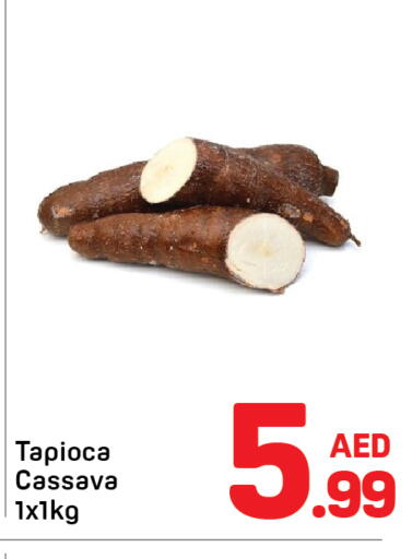 Cassava available at Day to Day Department Store in UAE - Dubai