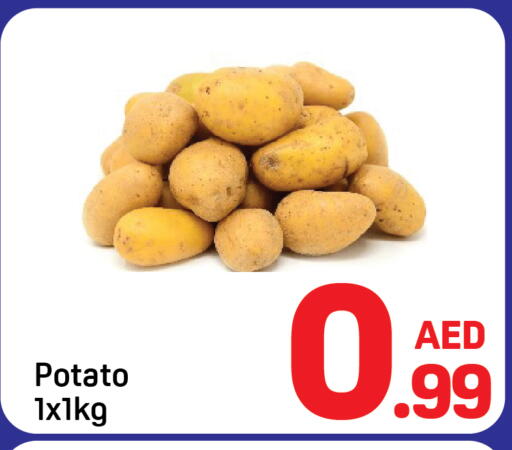 Potato available at Day to Day Department Store in UAE - Dubai