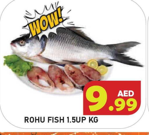 available at سنابل بني ياس in الإمارات العربية المتحدة , الامارات - أم القيوين‎