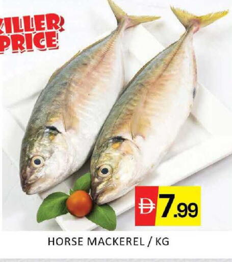 Mango available at Mango Hypermarket LLC in UAE - Dubai