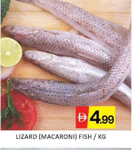 Mango available at Mango Hypermarket LLC in UAE - Dubai