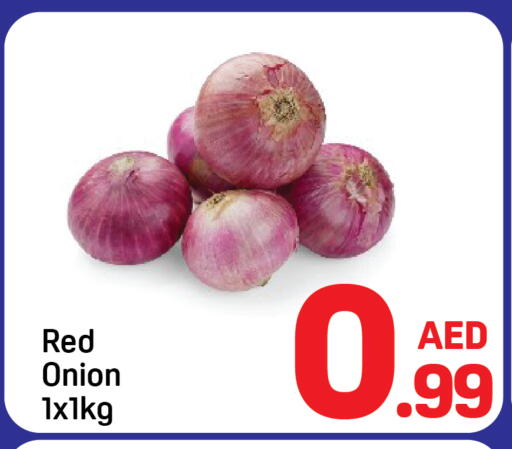 Onion available at Day to Day Department Store in UAE - Dubai