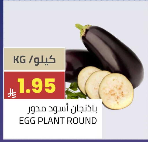 available at أسواق أسترا in مملكة العربية السعودية, السعودية, سعودية - تبوك