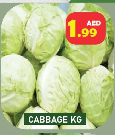Cabbage available at Baniyas Spike  in UAE - Umm al Quwain