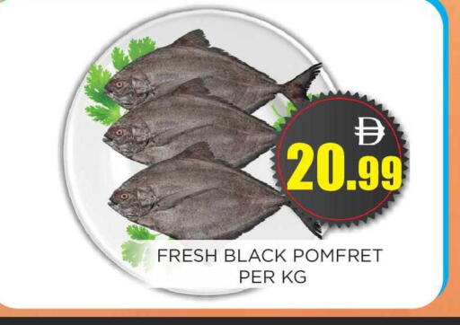 available at اينس المدينة هايبرماركت in الإمارات العربية المتحدة , الامارات - الشارقة / عجمان